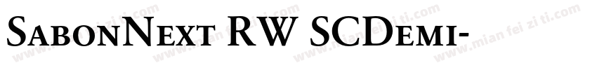 SabonNext RW SCDemi字体转换